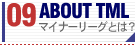�ޥ��ʥ�Ȥϡ�